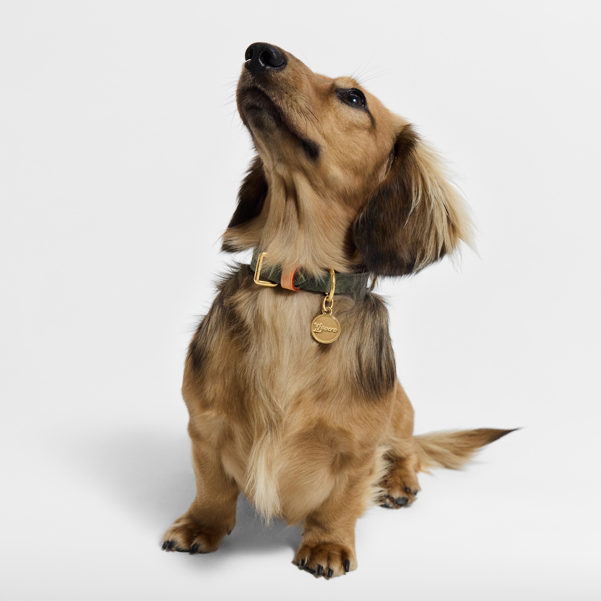 ドッグ カラー XS S00｜ルイ・ヴィトン 公式サイト - GI1489